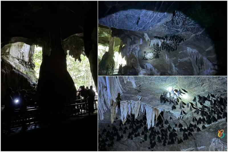 Bat cave o cueva de los murciélagos en Malasia